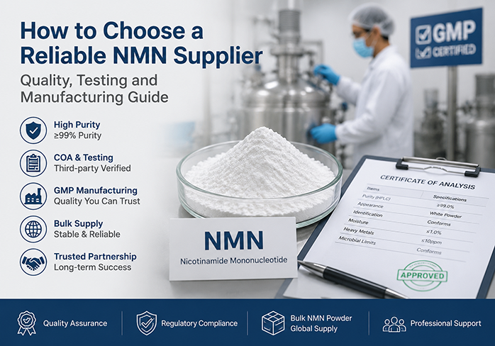 How to Choose a Reliable NMN Supplier: Quality, Testing and Manufacturing Guide